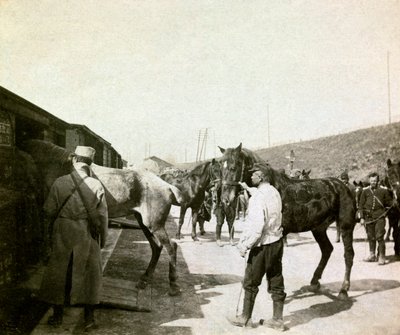 第一次世界大戦初期の歩兵中尉の個人アルバムからの写真（1st, Iere 作： Anonymous Anonymous