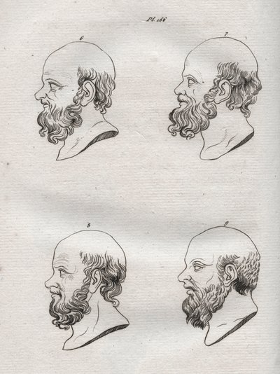 人相学 - Physiognomony - ギリシャの哲学者ソクラテス（紀元前469年頃～紀元前399年頃）の複数の頭部（ソクラテスの胸像（紀元前469年頃～紀元前399年頃）、アテネの哲学者）1808年の彫刻（Johann Gaspar (Gaspard) Lavatによる「The art of knowing men through physiognomomy（人相学を通して人を知る術）」に掲載されたもの 作： Anonymous Anonymous