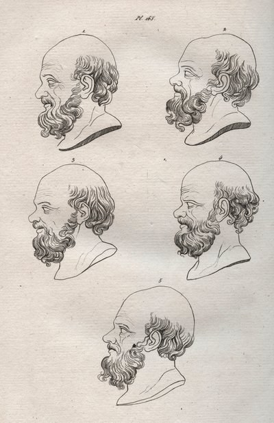 人相学 - Physiognomony - ギリシャの哲学者ソクラテス（紀元前469年頃～紀元前399年頃）の複数の頭部（ソクラテスの胸像（紀元前469年頃～紀元前399年頃）、アテネの哲学者）1808年の彫刻（Johann Gaspar (Gaspard) Lavatによる「The art of knowing men through physiognomomy（人相学を通じて人を知る術）」に掲載されたもの 作： Anonymous Anonymous
