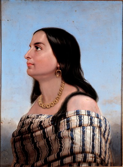 ジュゼッペ・ガリバルディの妻、アニタ・ガリバルディ（1821-1849）の肖像 匿名画プライベート・コレクション 作： Anonymous Anonymous
