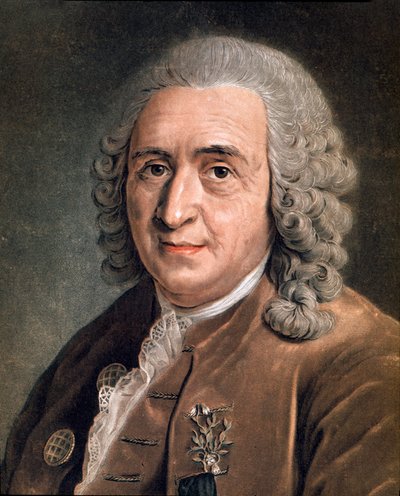 チャールズ・リンネ（Carl von Linne, Linneus 1707 - 1778）の肖像 スウェーデンの博物学者 匿名の絵画。18世紀ミラノ、個人蔵 作： Anonymous Anonymous
