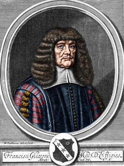 フランシス・グリッソン（1599-1677）の肖像 イギリスの医師、解剖学者 作： Anonymous Anonymous