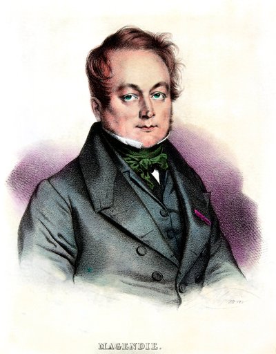 フランソワ・マガンディ（1783-1855）医師・生理学者の肖像、プリヴェ・コレクション 作： Anonymous Anonymous