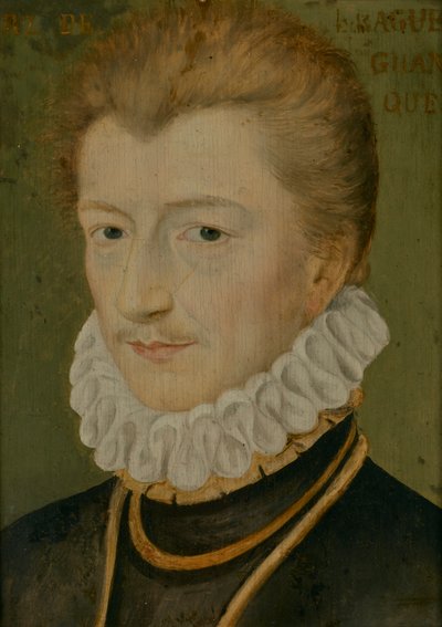 Portrait of Henry I of Lorraine (1550–1588), Duke of Guise   1464058   ja       japanese Successfully Translated  Original: Two birds collide Translat: Two birds collide 1455848 ja japanese Successfully Translated Original: Creatures: Turtles and shells on 作： Anonymous Anonymous