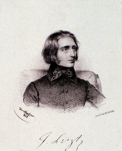 ハンガリーの作曲家フランツ・リスト（1811-1886）の肖像 エングレーヴィング。19世紀ミラノの個人コレクション 作： Anonymous Anonymous