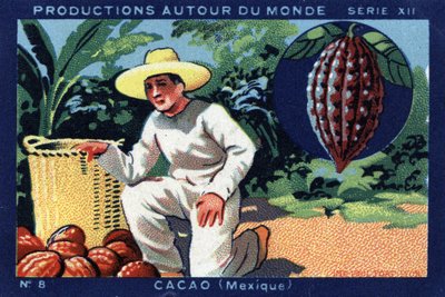 世界のプロダクション。メキシコのココア。"Joseph-Milliat Album "の1933年のクロモリ写真 作： Anonymous Anonymous