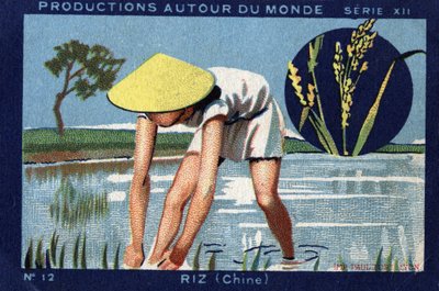 世界のプロダクション。中国の米1933年 "Joseph-Milliat Album "に掲載されたクロモリ写真 作： Anonymous Anonymous
