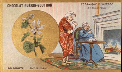 紫はハーブティー。エングレービング（クロモ）。Guerin-Boutronチョコレートの広告用クロモリトグラフ、19世紀後半。イラストリーボタニカルシリーズ。 作： Anonymous Anonymous