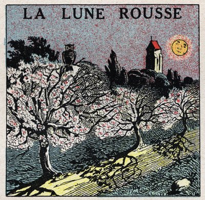 放射線と導電性：光が花のつぼみを燃やす赤い月。1925年の匿名のイラスト。個人蔵。 作： Anonymous Anonymous