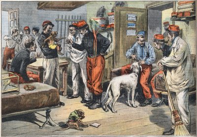 チュニジアに派遣されたフランス軍兵士のアフリカからの帰還。1908年7月6日付の新聞 "Le Petité Parisien "に掲載されたもの。個人蔵。 作： Anonymous Anonymous