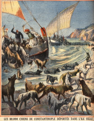 コンスタンティノープル（トルコ・イスタンブール）の8万匹の野良犬がオキシアス島に出発。1910年08月07日、「Le petit parisien」に掲載されたエングレーヴィング。個人蔵。 作： Anonymous Anonymous