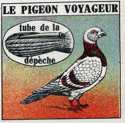 ザ・ポスト・オフィス旅行者用のハト。1925年の匿名のイラスト。個人蔵。 作： Anonymous Anonymous