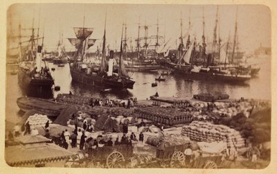 1885-1890年頃のマルセイユの街とその周辺。バサン・ド・ラ・ジョリエット、猫に搭乗する貨物、個人蔵 作： Anonymous Anonymous