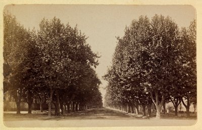 1885-1890年頃のマルセイユの街とその周辺：プラド美術館、個人蔵 作： Anonymous Anonymous