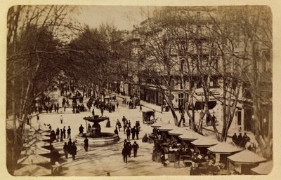 1885-1890年頃のマルセイユの街とその周辺。花の散歩道」コース・サンルイ、個人蔵 作： Anonymous Anonymous