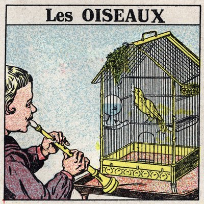 音楽の効果：フルートの音が鳥かごの中の鳥を歌わせる。1925年の匿名のイラスト。個人蔵。 作： Anonymous Anonymous