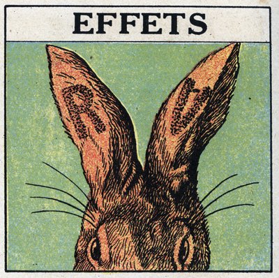 紫外線の効果。ウサギの耳を黒い厚紙で覆ったり、RとVの文字を切ったりした後、水銀灯の紫外線を当てると、耳には日焼けと同じような焼け方をする。匿名のイラスト 作： Anonymous Anonymous