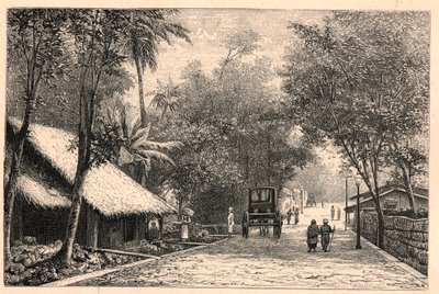 セイロン(スリランカ)のコロンボからの街並みの眺め。Louis-Eugene (Louis Eugene) Louvetによる「Les Missions Catholiques au XIXeme Siecle」に掲載された版画。 作： Anonymous Anonymous