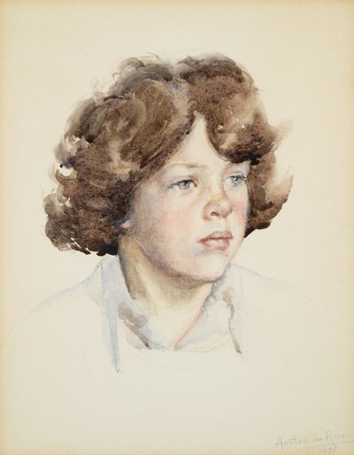 7歳のヒュー・ボイロー 作： Anthea Durose