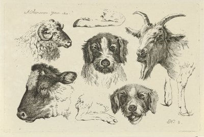 動物の頭と足 ウシ、ヒツジ、ヤギの研究（連載タイトル） 作： Anthony Oberman