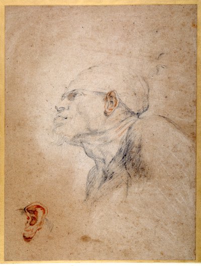 包帯を巻かれた男の頭、左耳の別リハーサル（紙に黒と赤のチョーク 作： Anthony van Dyck