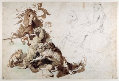オオカミとキツネの狩り（ヨーロッパの狩り）」（紙にチョーク、ウォッシュ 作： Anthony van Dyck
