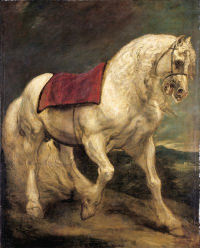 サドルクロスと部分的に編まれたたてがみを持つ灰色の種牡馬：モデルロ 作： Anthony van Dyck