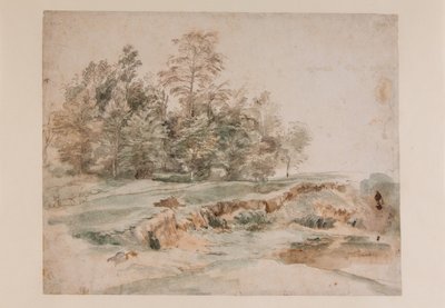 林道のそばの木の塊（鉛筆・水彩・紙 作： Anthony van Dyck