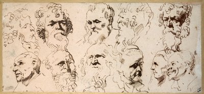 頭部のスケッチ11点（ペン・茶インク・紙 作： Anthony van Dyck