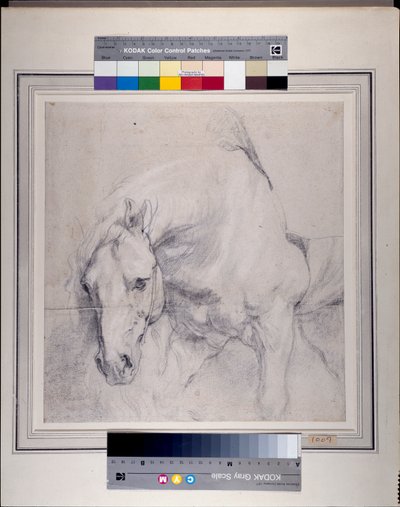 灰色の馬の頭部と脚部（紙に黒チョークで高さを出したもの 作： Anthony van Dyck