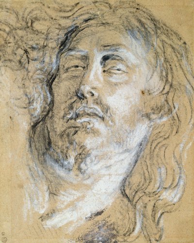 死んだキリストの頭（木炭と紙にチョーク） 作： Anthony van Dyck