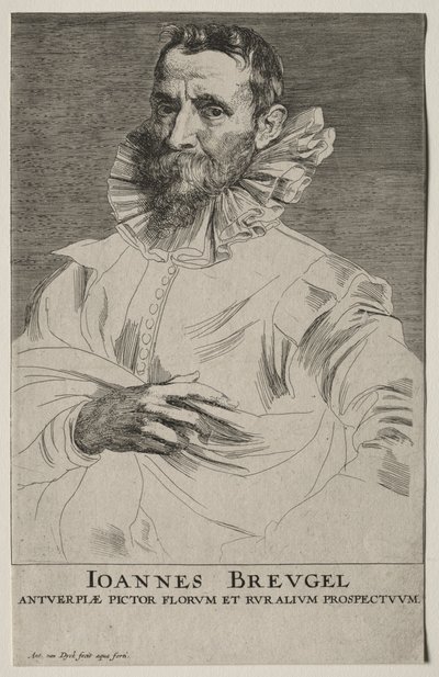 ヤン・ブリューゲルの肖像。 作： Anthony van Dyck