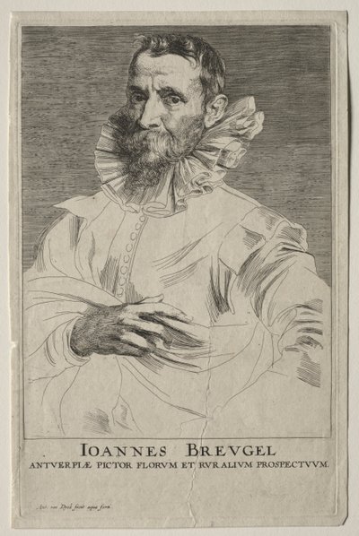 ヤン・ブリューゲルの肖像。 作： Anthony van Dyck