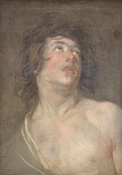 上向きに探している若い男の頭を研究します。 聖セバスチャン 作： Anthony van Dyck