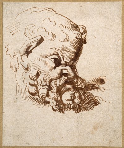 アンティークのシレノスの頭部の習作（紙にペンとインク 作： Anthony van Dyck