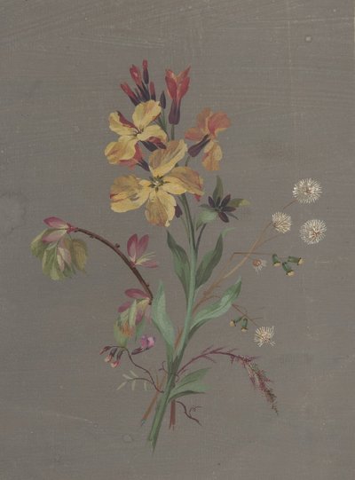 花のデザイン、カリフォルニア。 1820年。 作： Antoine Berjon