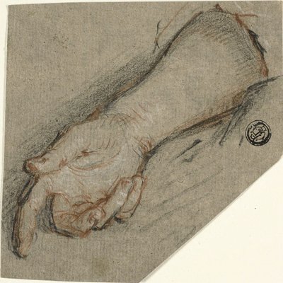 手の甲と前腕 作： Antoine Coypel