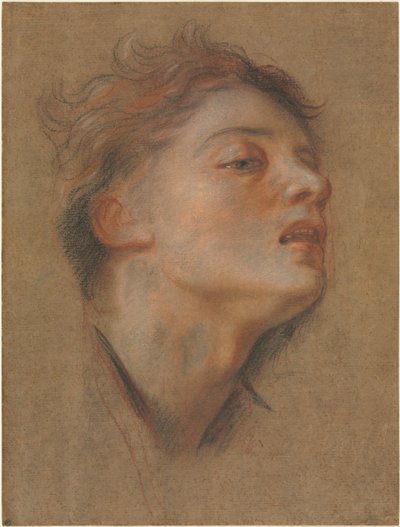 若い男の頭、1715年から1717年。 作： Antoine Coypel