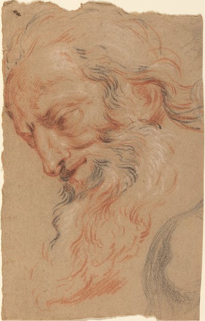 老人の頭 作： Antoine Coypel