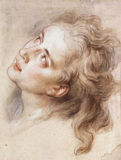 天使の頭、左を見上げて、 作： Antoine Coypel