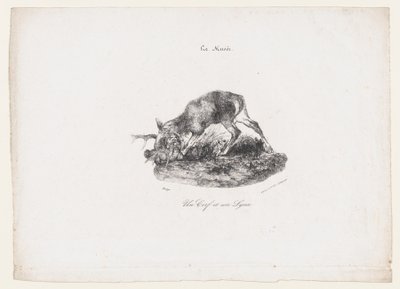 鹿とオオヤマネコ、1834 年。 作： Antoine Louis Barye