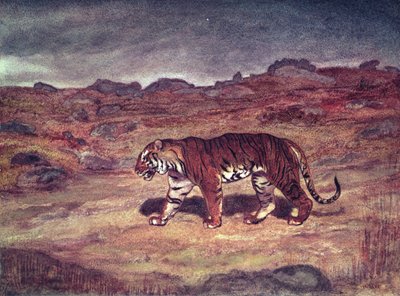 獲物を狩る虎（紙にトイレ） 作： Antoine Louis Barye