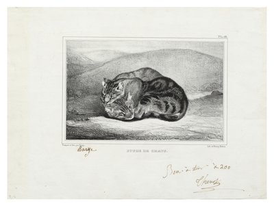 猫の研究 作： Antoine Louis Barye
