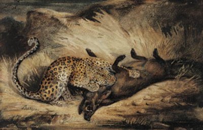 ヒョウはイノシシを食べます。 作： Antoine Louis Barye