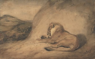 ライオン休憩、1810-75。 作： Antoine Louis Barye