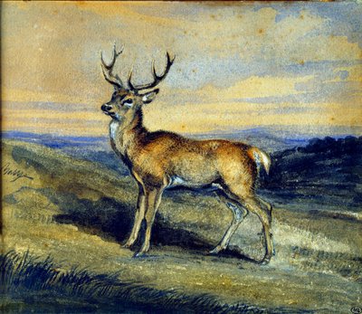 鹿。アントワーヌ・ルイ・バリーによる絵画 作： Antoine Louis Barye