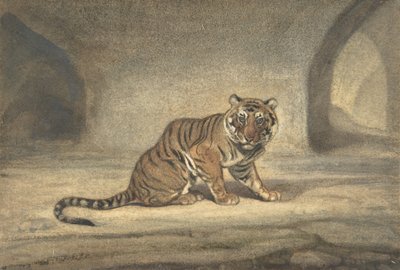 タイガー、1810-75。 作： Antoine Louis Barye