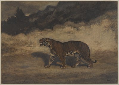 左に歩くトラ（紙にトイレ） 作： Antoine Louis Barye