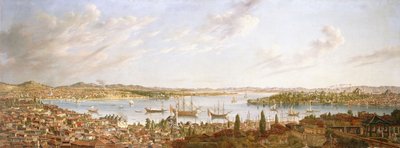 ボスポラス海峡を見下ろすコンスタンティノープルの眺め、1770 作： Antoine de Favray