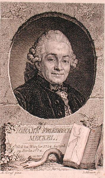 ジョン・シュリューエン（fl.1740-74）が彫ったヨハン・フリードリヒ・メッケル（1724-76）の肖像（エングレーヴィング） 作： Anton (after) Graff